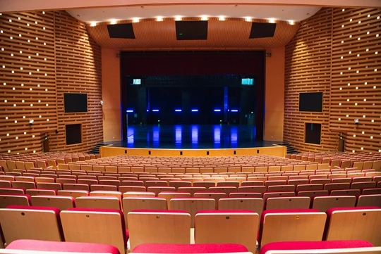 “华东师范大学大零号湾文化艺术中心大剧场”